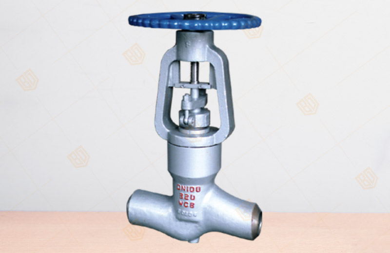 Power Station Globe Valve